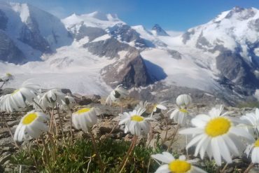 Svájci Nemzeti Park – Természetvédelem felsőfokon