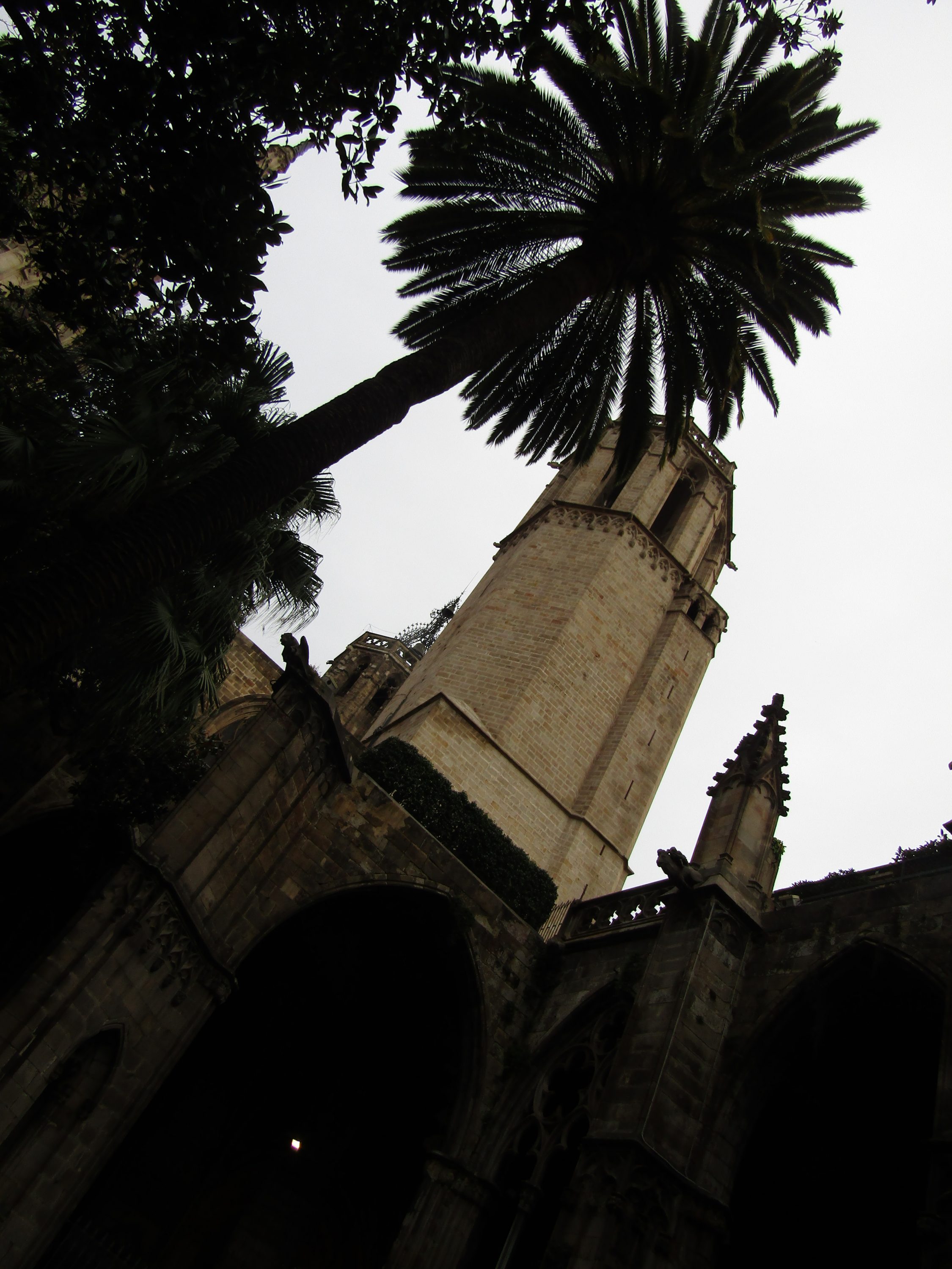 Barcelona_Cathedral_Belltower