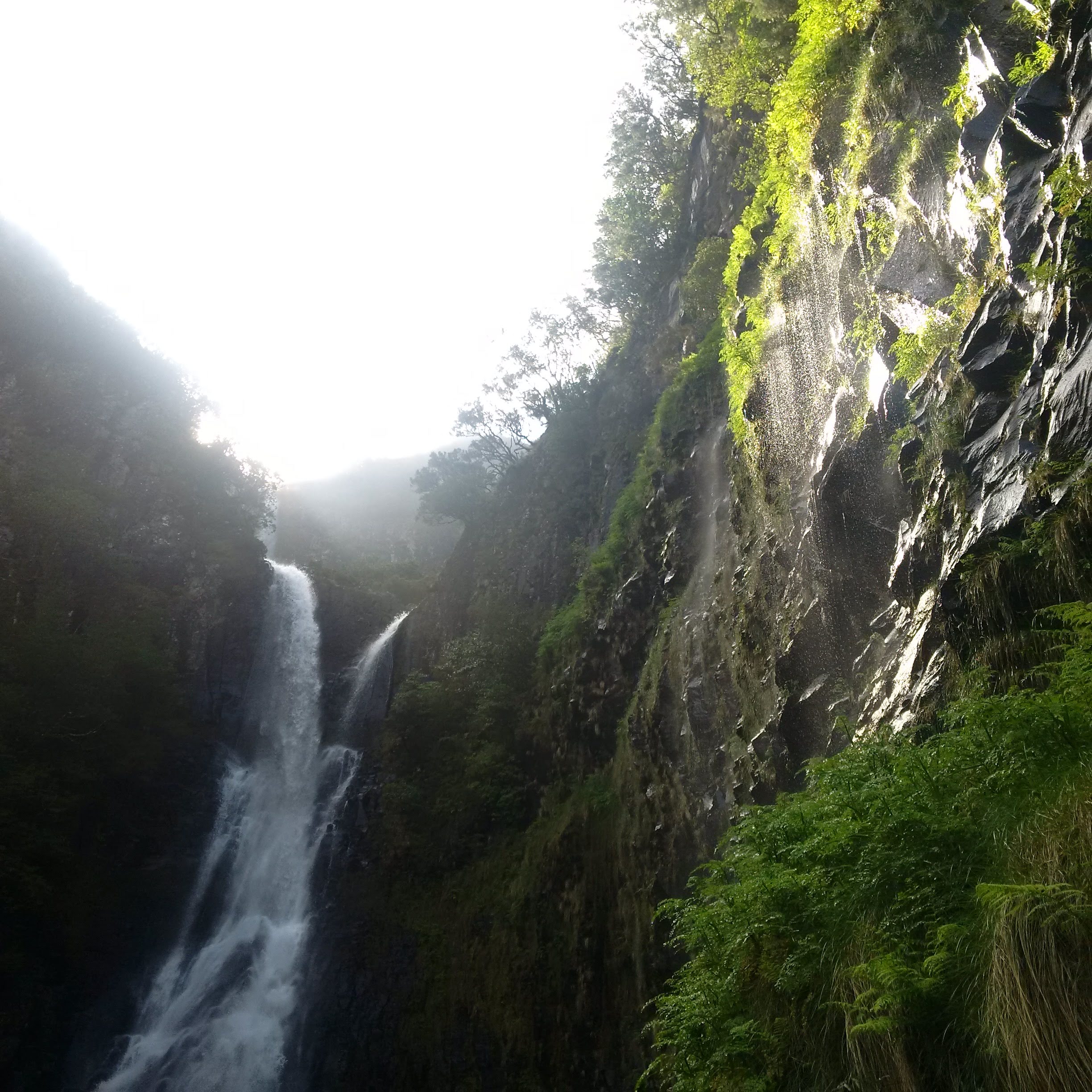 Madeira_Risco_waterfall