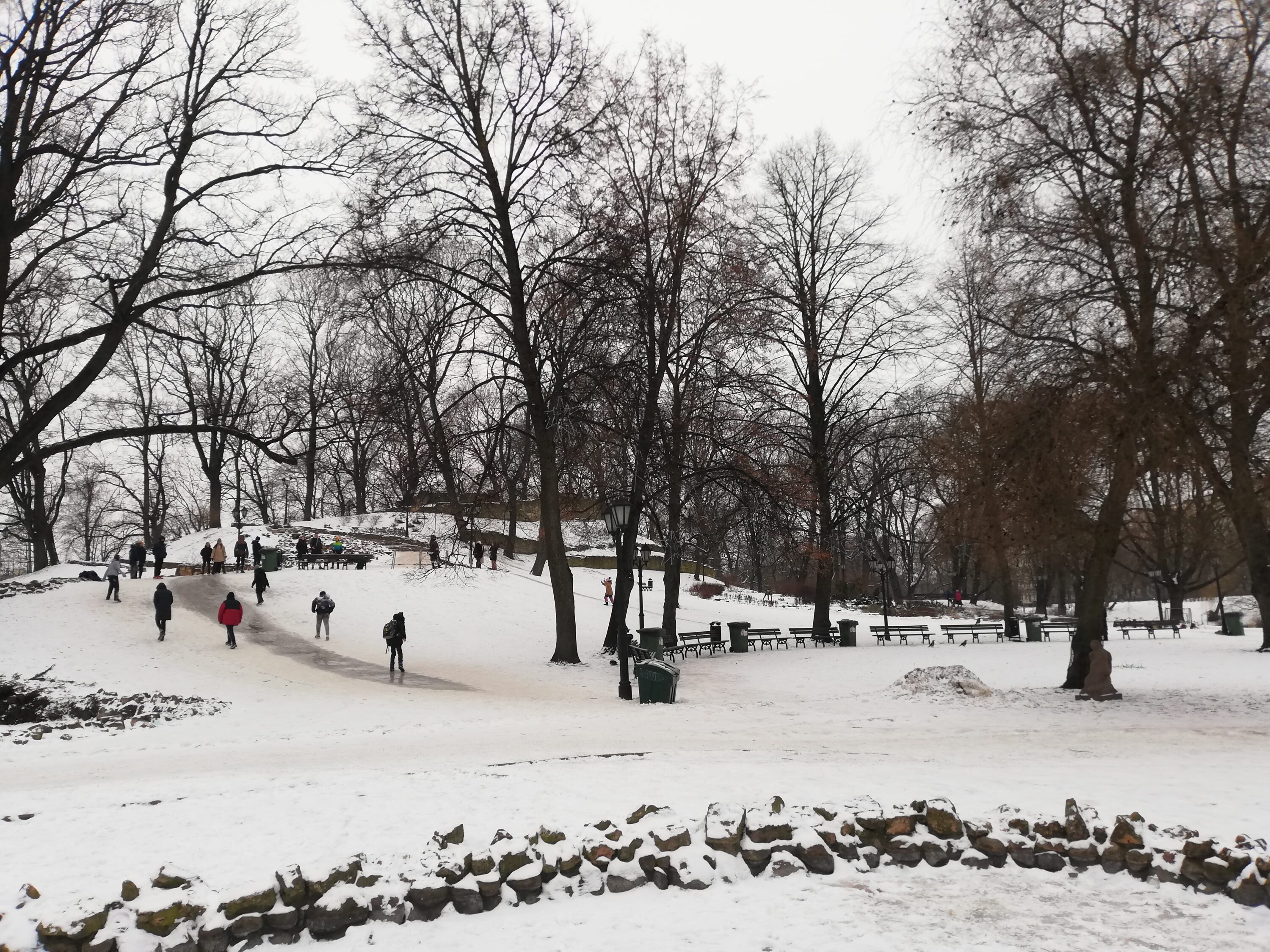 Riga_park_winter